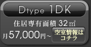 Dtype